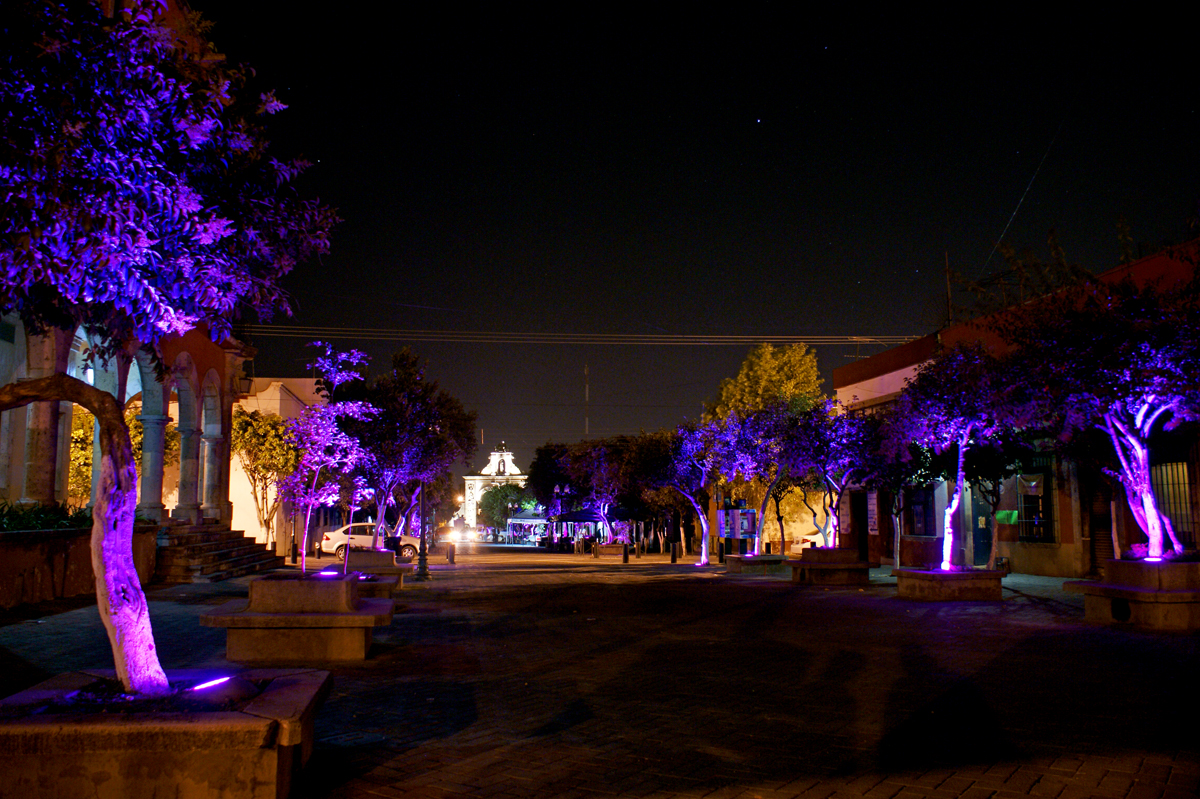 SONY DSC