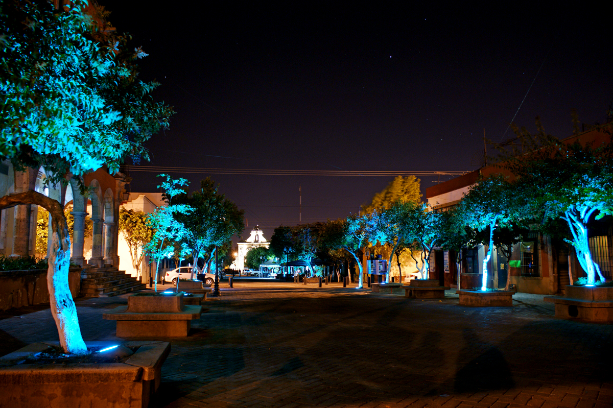 SONY DSC
