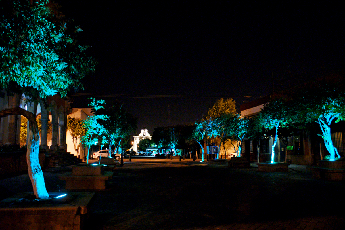 SONY DSC