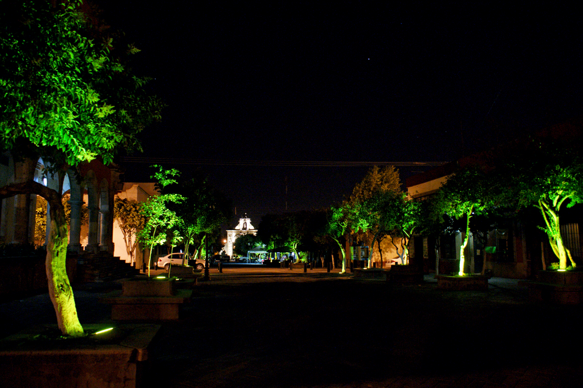 SONY DSC