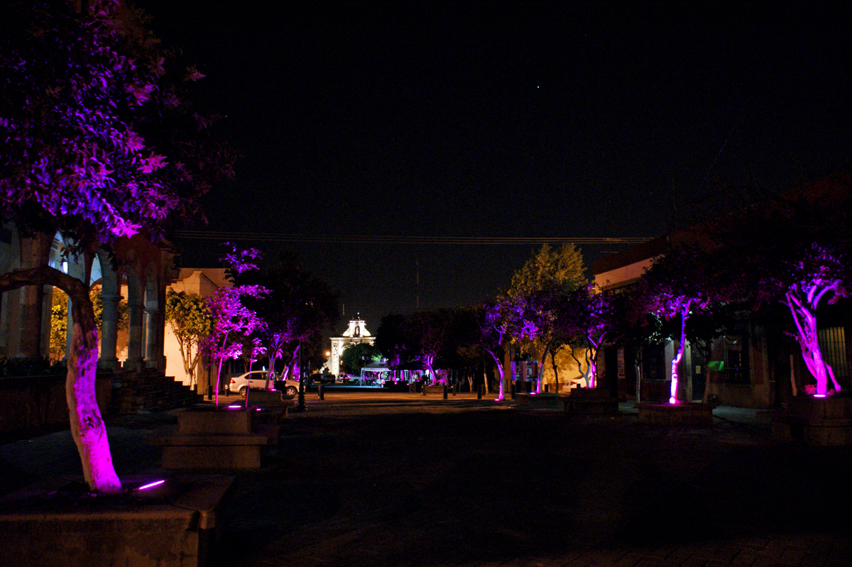 SONY DSC