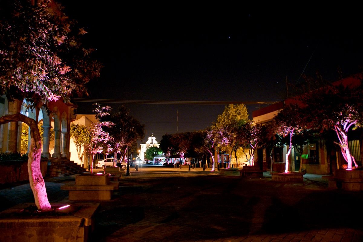 SONY DSC