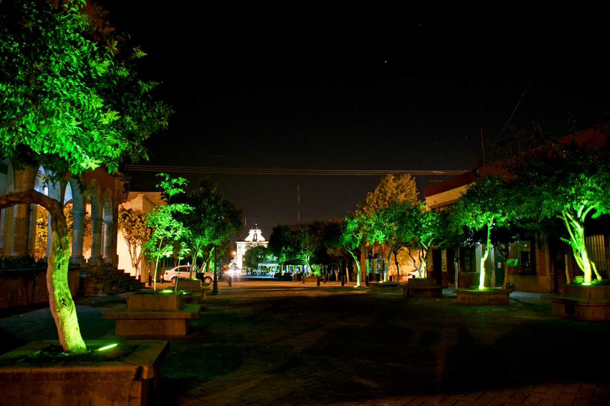 SONY DSC