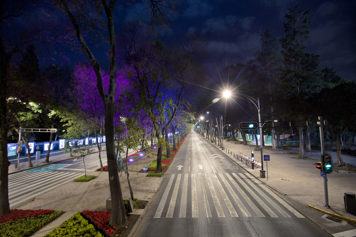 reforma-ap-camellon-003